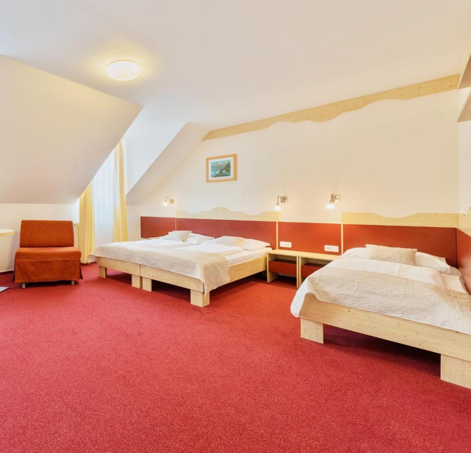 Wellness Hotel Iris パヴロフ エクステリア 写真